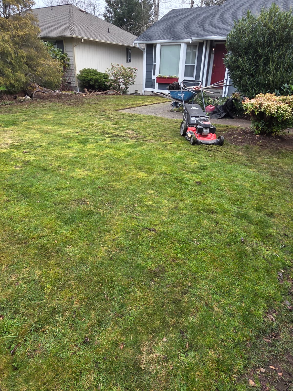 Cleanup - CASCADE LANDSCAPES